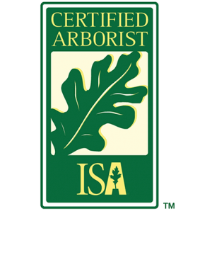ISA certified Arborists Logo