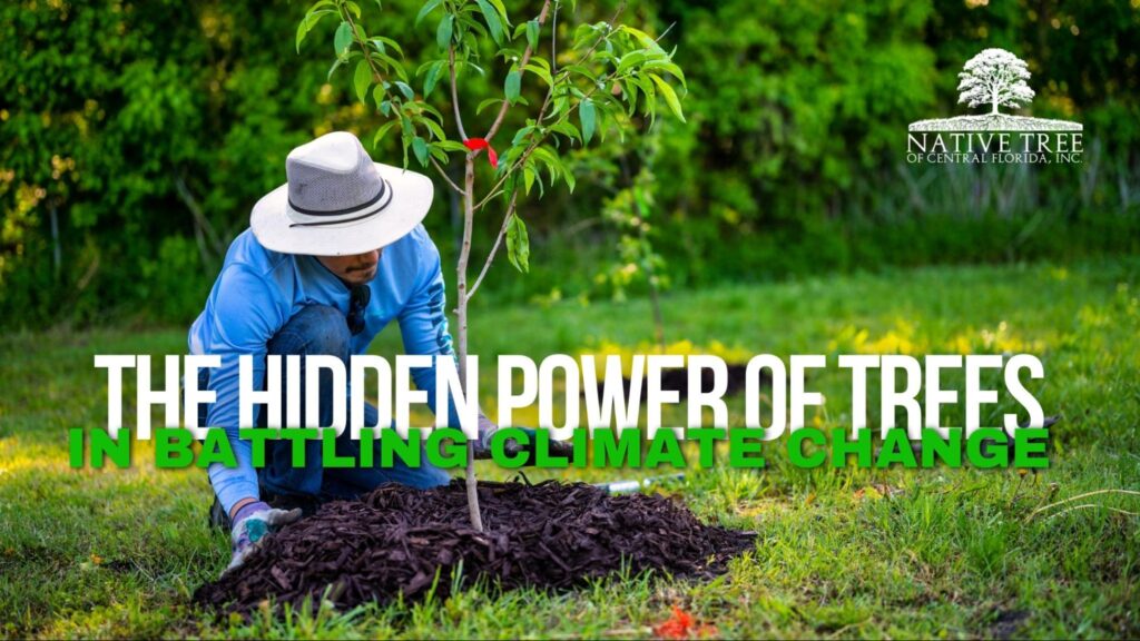 Trees play a vital role in combating climate change by absorbing carbon dioxide, storing carbon, improving air quality, and supporting healthier ecosystems.