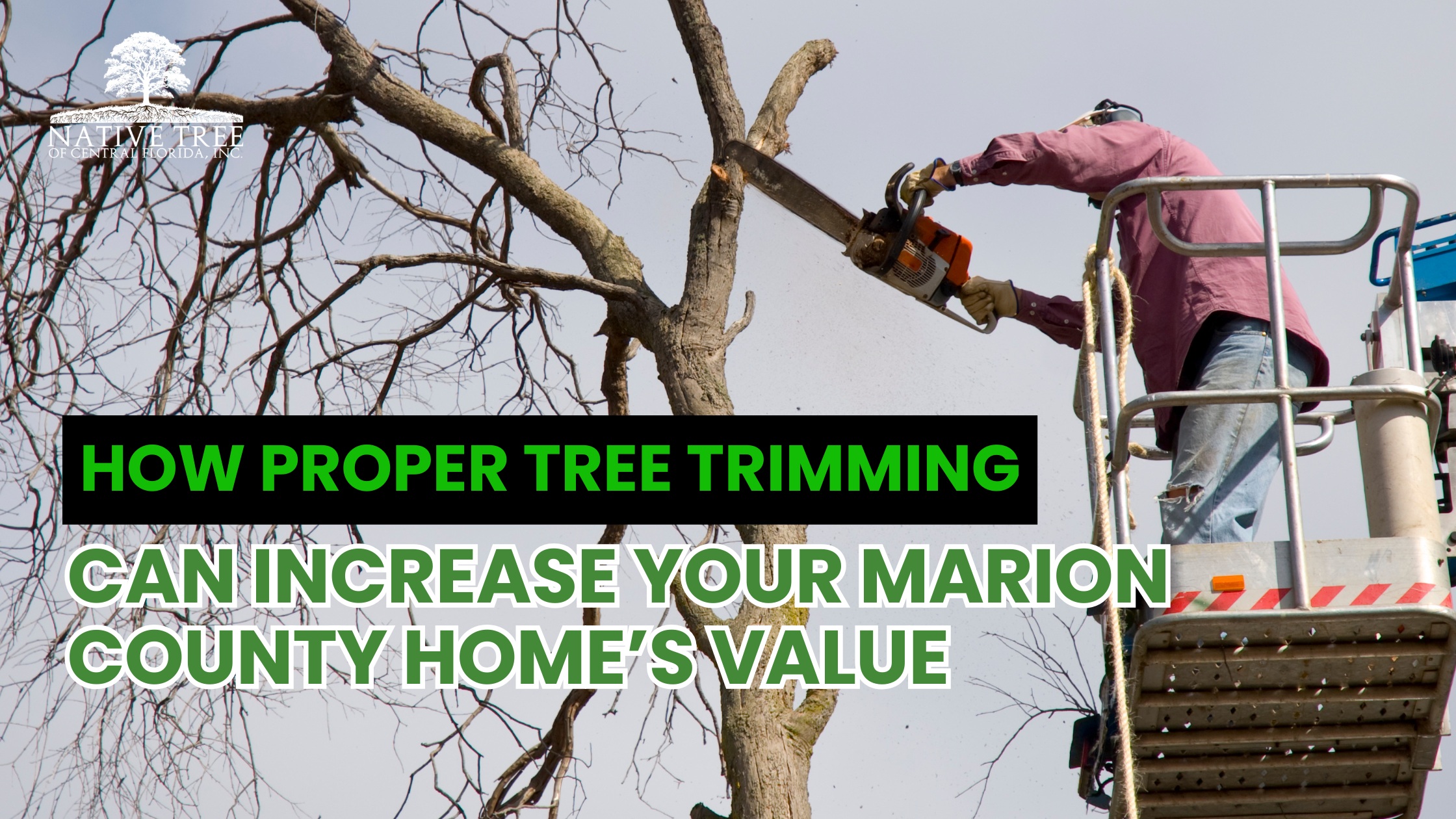 Proper tree trimming enhances curb appeal, improves tree health, and increases property value by creating a safer, more attractive landscape in residential areas.