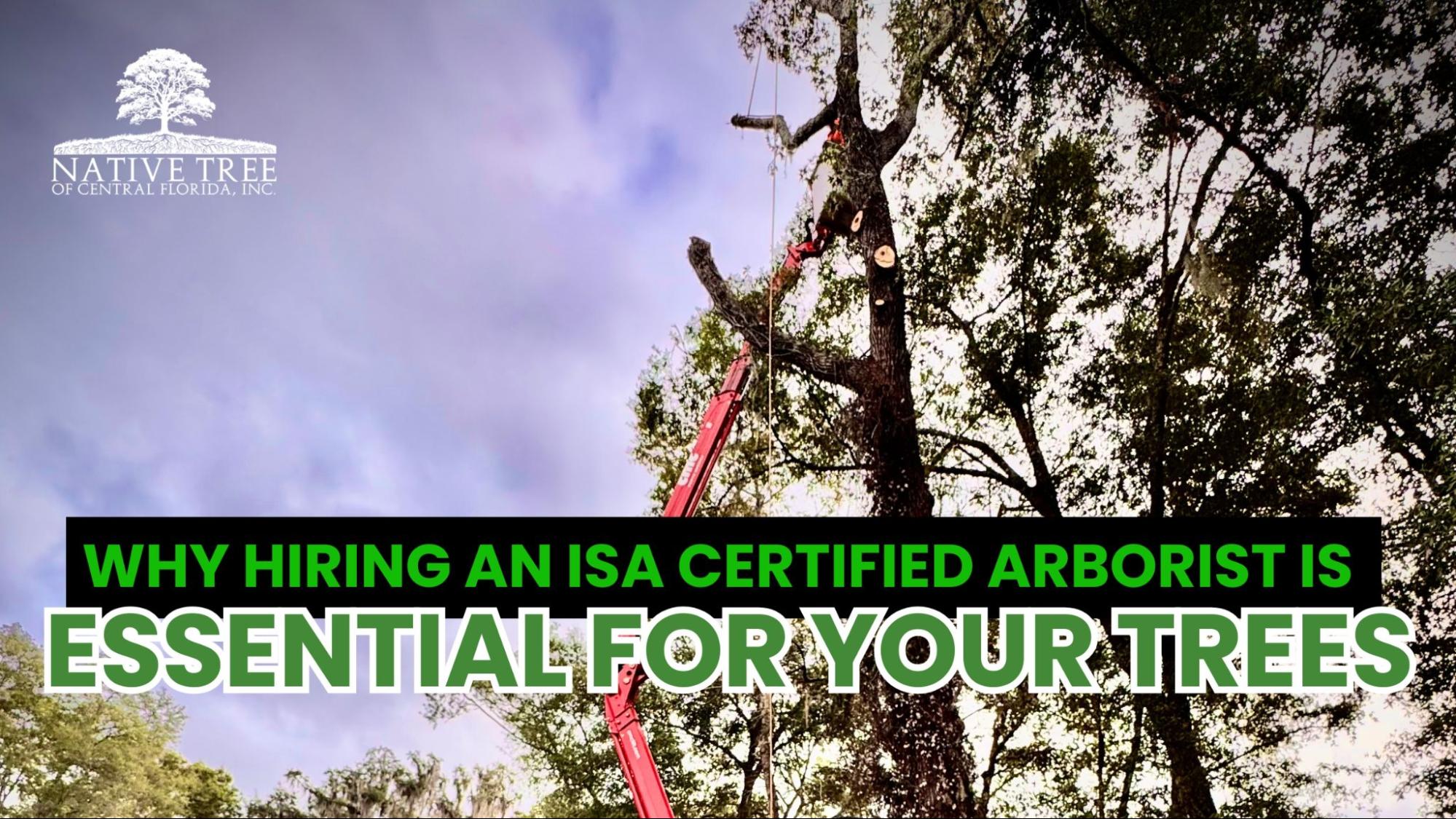 Image illustrating the importance of hiring an ISA Certified arborist for tree health and maintenance.