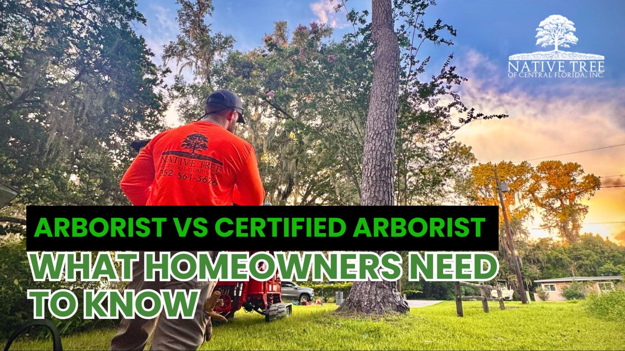 Comparison of arborist and certified arborist roles, highlighting key differences for homeowners' understanding.