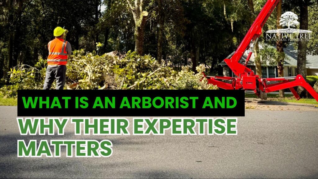 An informative graphic explaining the role of arborists and the importance of their expertise in tree care and management.