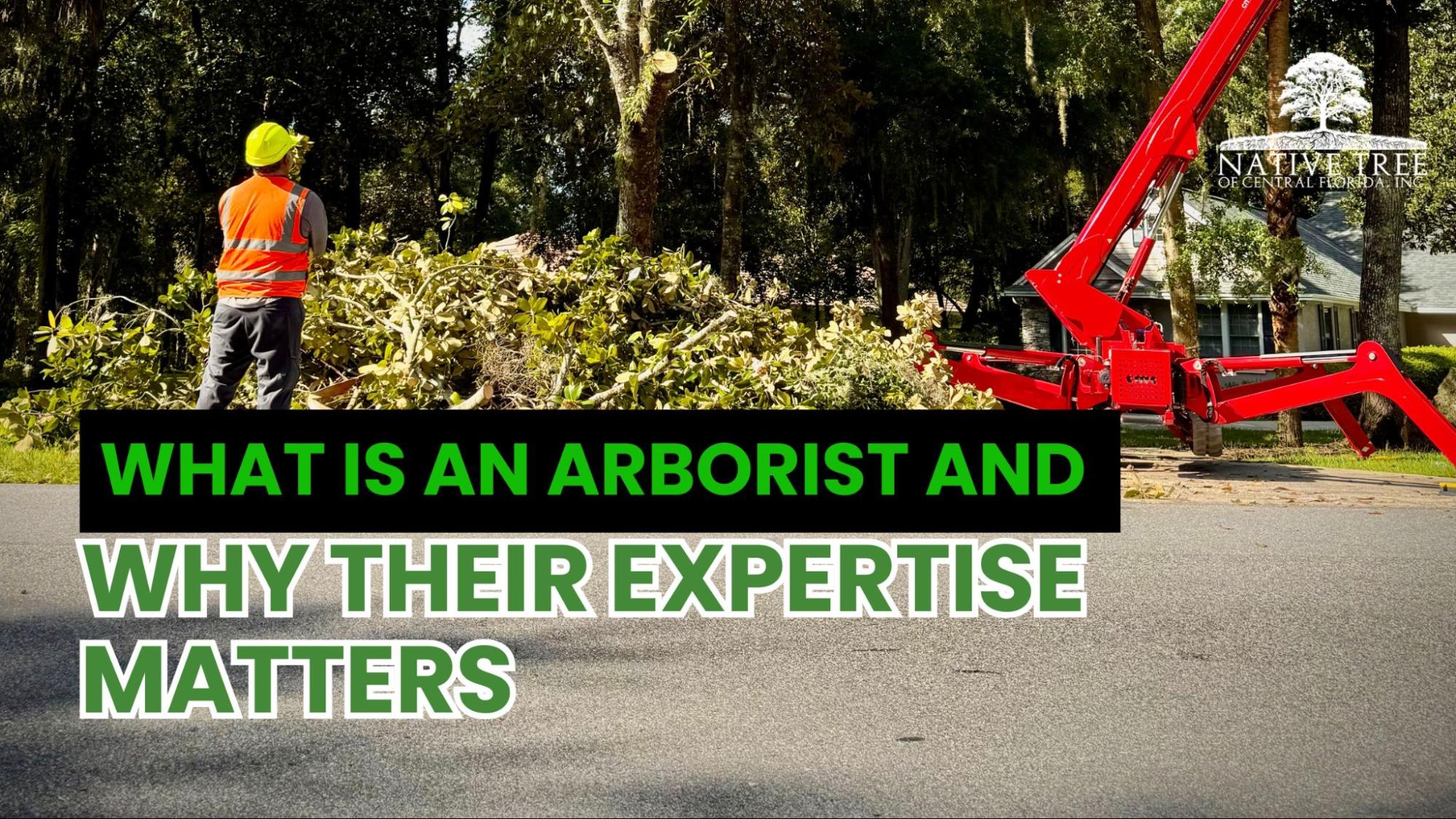 An informative graphic explaining the role of arborists and the importance of their expertise in tree care and management.