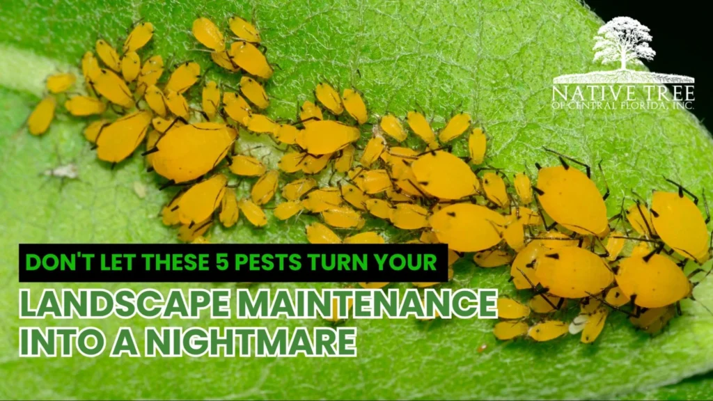 A chaotic landscape overrun by aphids, damaging plants and creating a pest-infested environment.