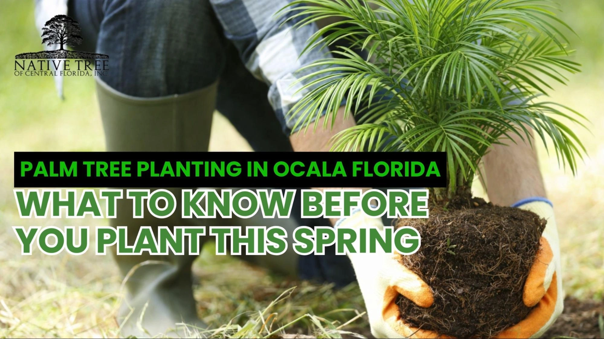 Tips and guidelines for successful spring planting, highlighting essential considerations for gardeners.
