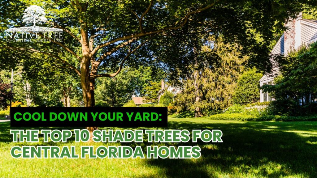 A collage of ten shade trees suitable for Central Florida, showcasing their foliage and growth patterns in a sunny yard.