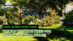 A collage of ten shade trees suitable for Central Florida, showcasing their foliage and growth patterns in a sunny yard.