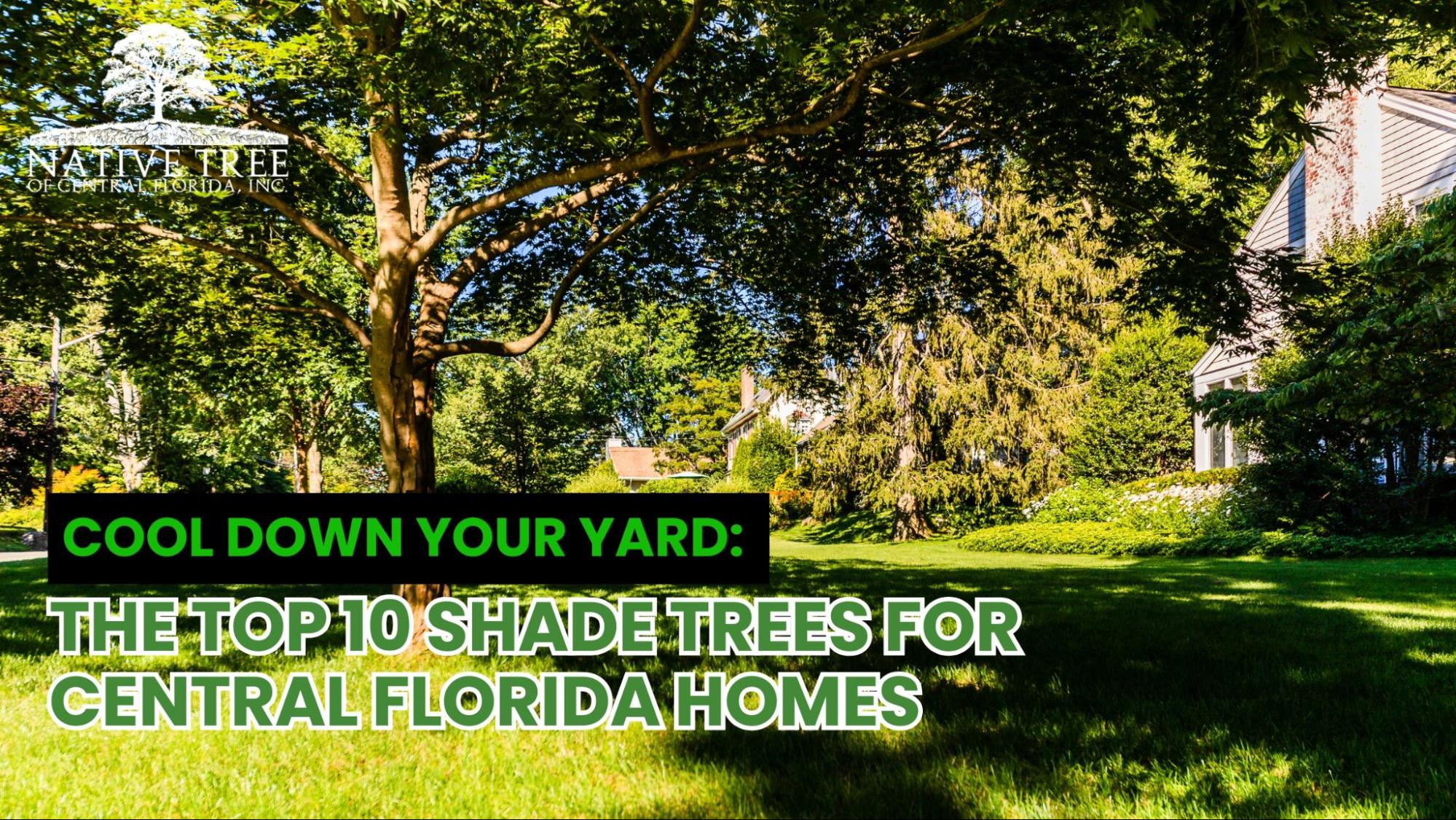 A collage of ten shade trees suitable for Central Florida, showcasing their foliage and growth patterns in a sunny yard.