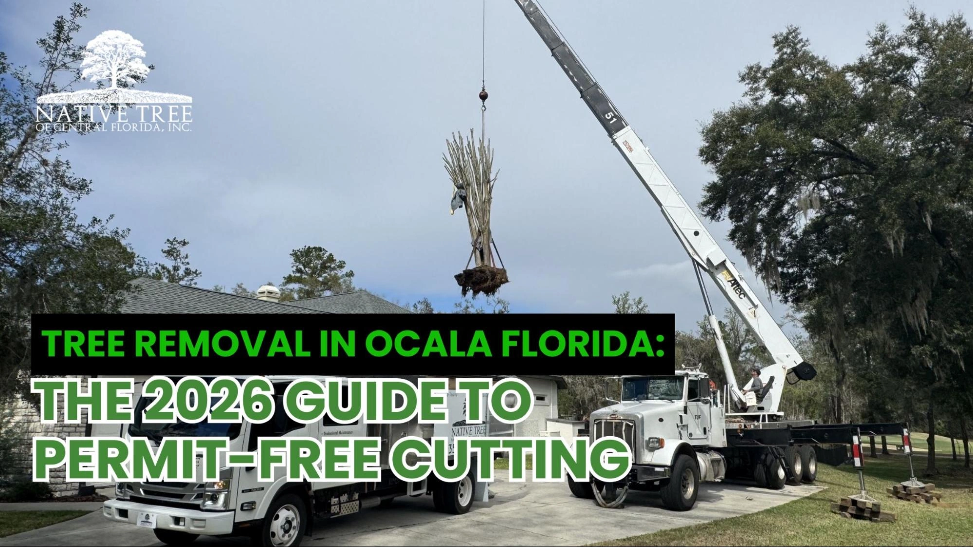 A 2026 guide to tree removal in Ocala, Florida explains when permit-free cutting is allowed, outlines local considerations, and highlights safe, compliant removal practices for homeowners.