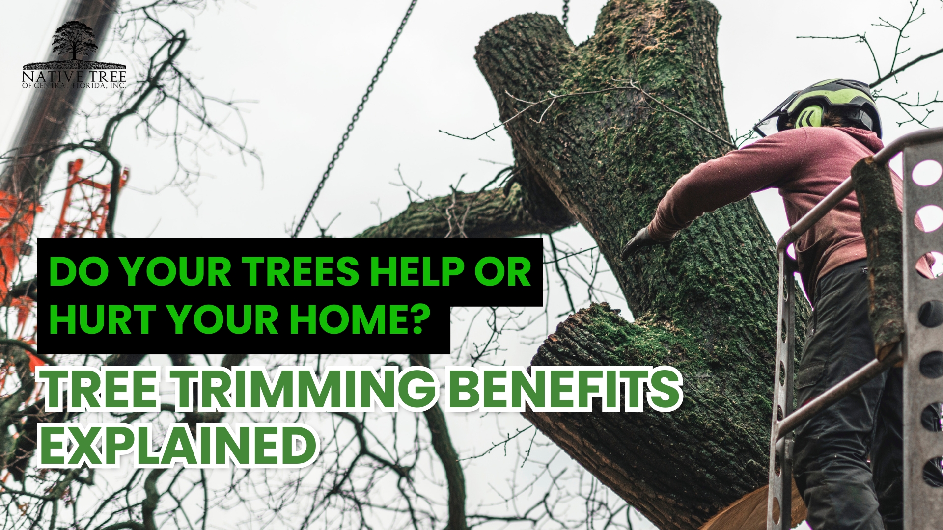 Tree trimming enhances safety, promotes healthy growth, improves curb appeal, and prevents property damage, offering long-term benefits for homeowners.