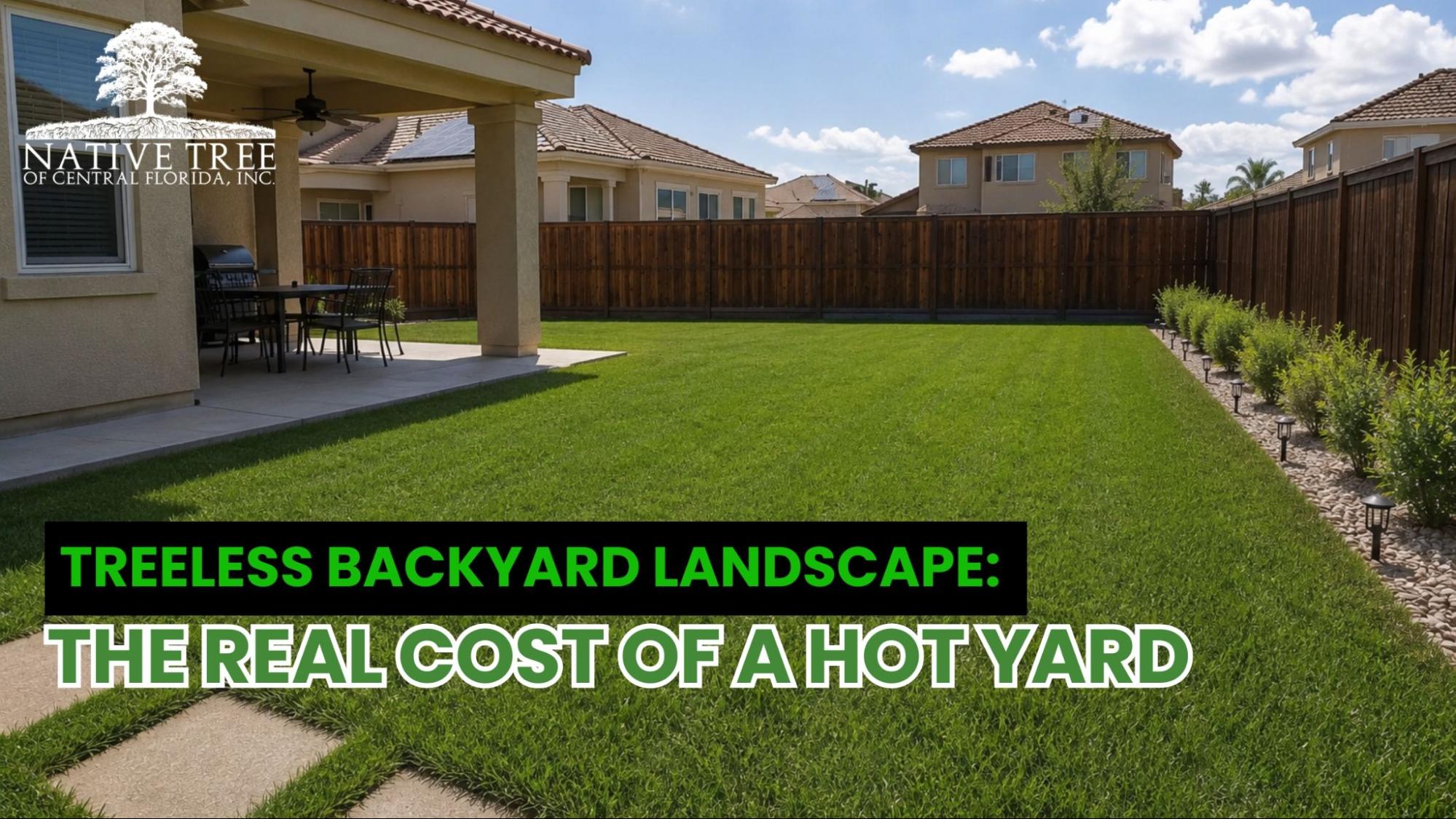 Expansive, sunlight backyard landscape showcasing vibrant grass and highlighting the beauty of open space.
