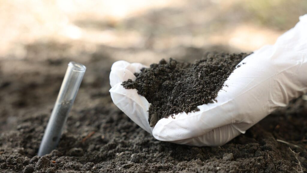 Soil testing and evaluation help determine nutrient levels, pH balance, and overall soil health, guiding proper lawn or landscape treatments for better plant growth."