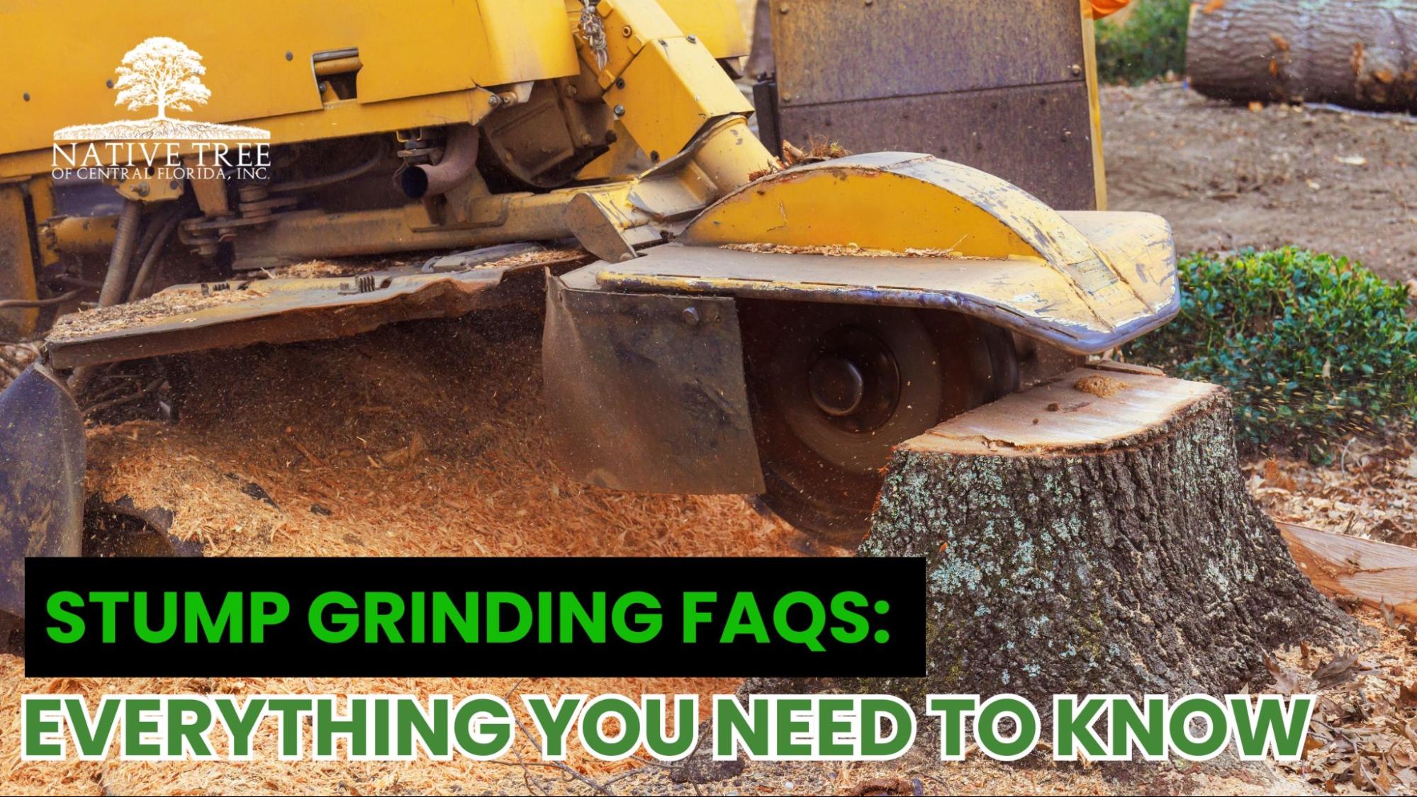Tree stump being ground on a well-maintained yard, showing safe and proper stump removal techniques, equipment in use, and essential practices highlighted in stump grinding FAQs.