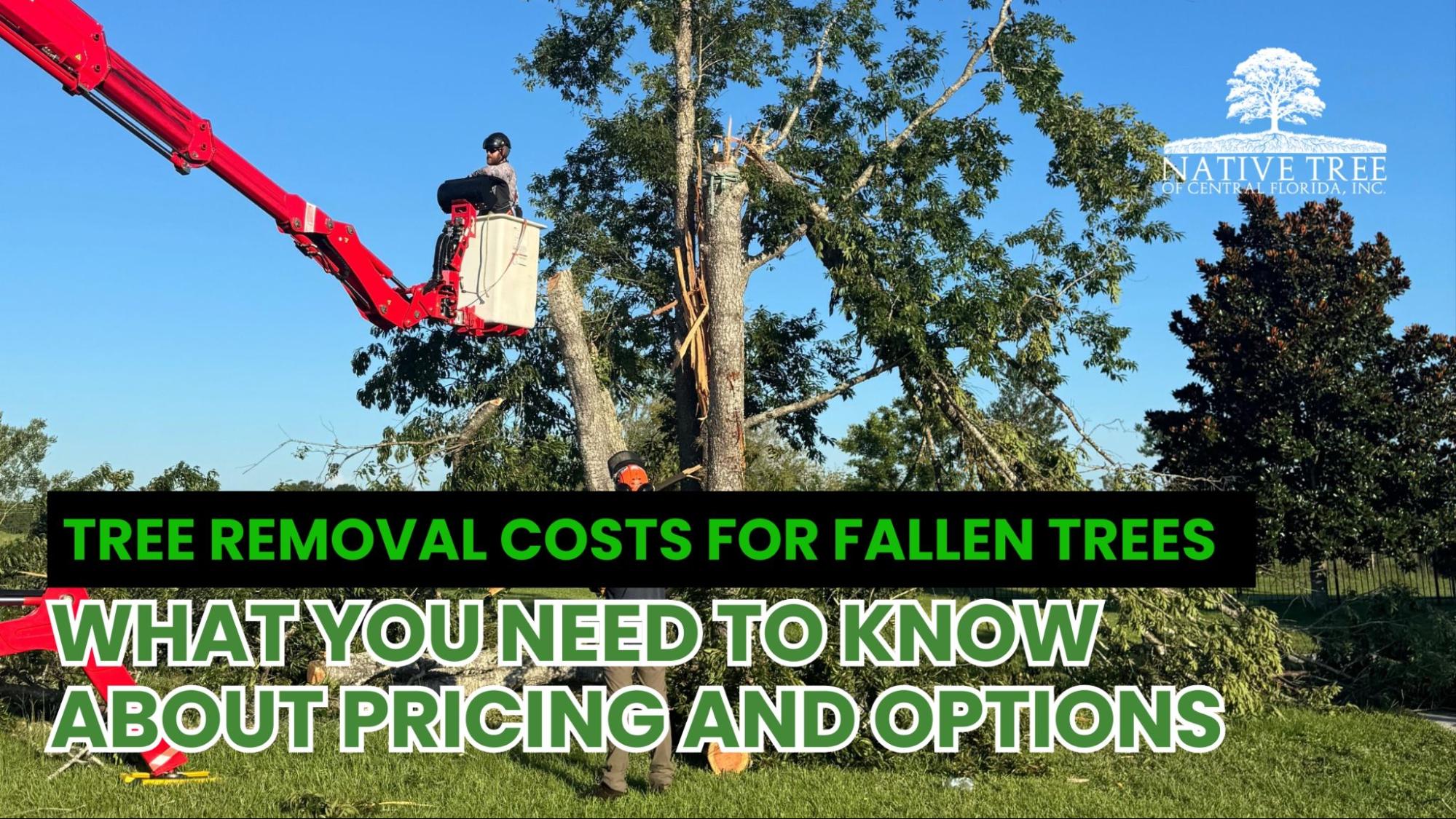 Fallen tree removal costs depend on tree size, location, and cleanup needs, with pricing influenced by hazards, accessibility, and whether emergency services are required.