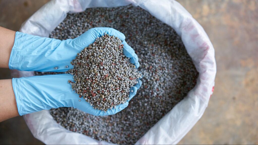 Holding granular slow-release fertilizer above an open sack, symbolizing the careful selection of nutrients for winter tree and shrub care.