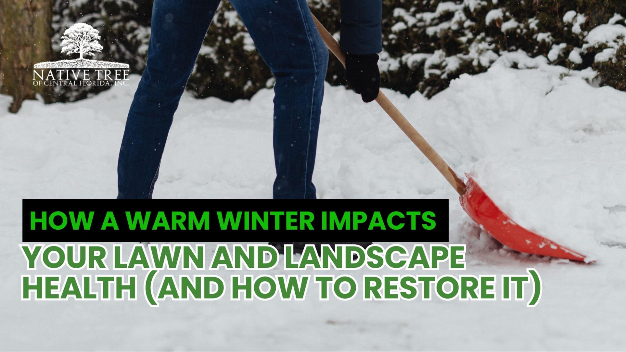 Warm winter effects on lawn and landscape health and how to restore them. Guidance for maintaining healthy grass and plants despite unseasonably mild conditions.