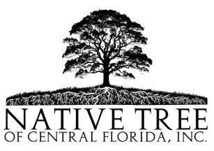 Native Tree of Central Florida Logo