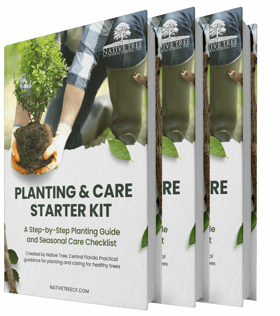 Starter kit for planting and plant care, featuring tools and supplies for beginners in gardening.