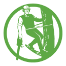 Green logo featuring a man riding a skateboard, emphasizing action and movement.