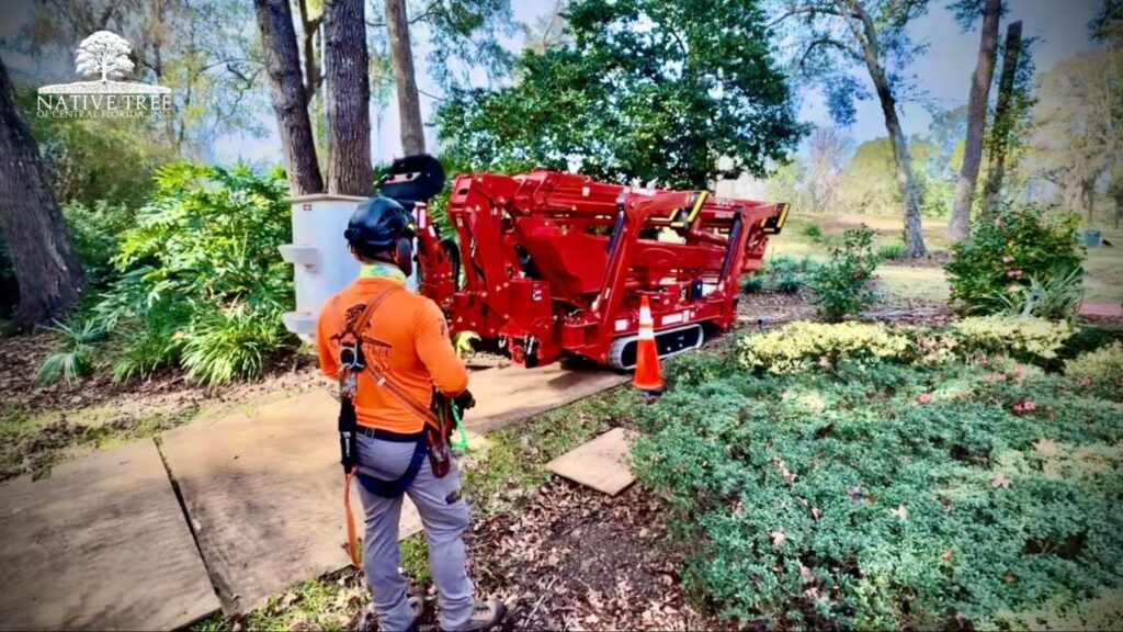 A man stands beside a red machine, possibly related to arborist services or tree care equipment.
