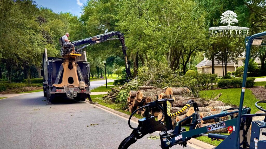A man using a tree trimmer to maintain a tree, illustrating tree service tips for Ocala homeowners.