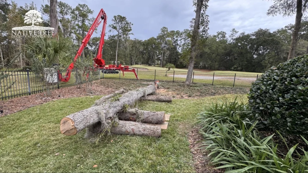 Tree removal costs in Ocala vary based on tree size, location, condition, and accessibility, helping homeowners understand pricing factors before scheduling service.
