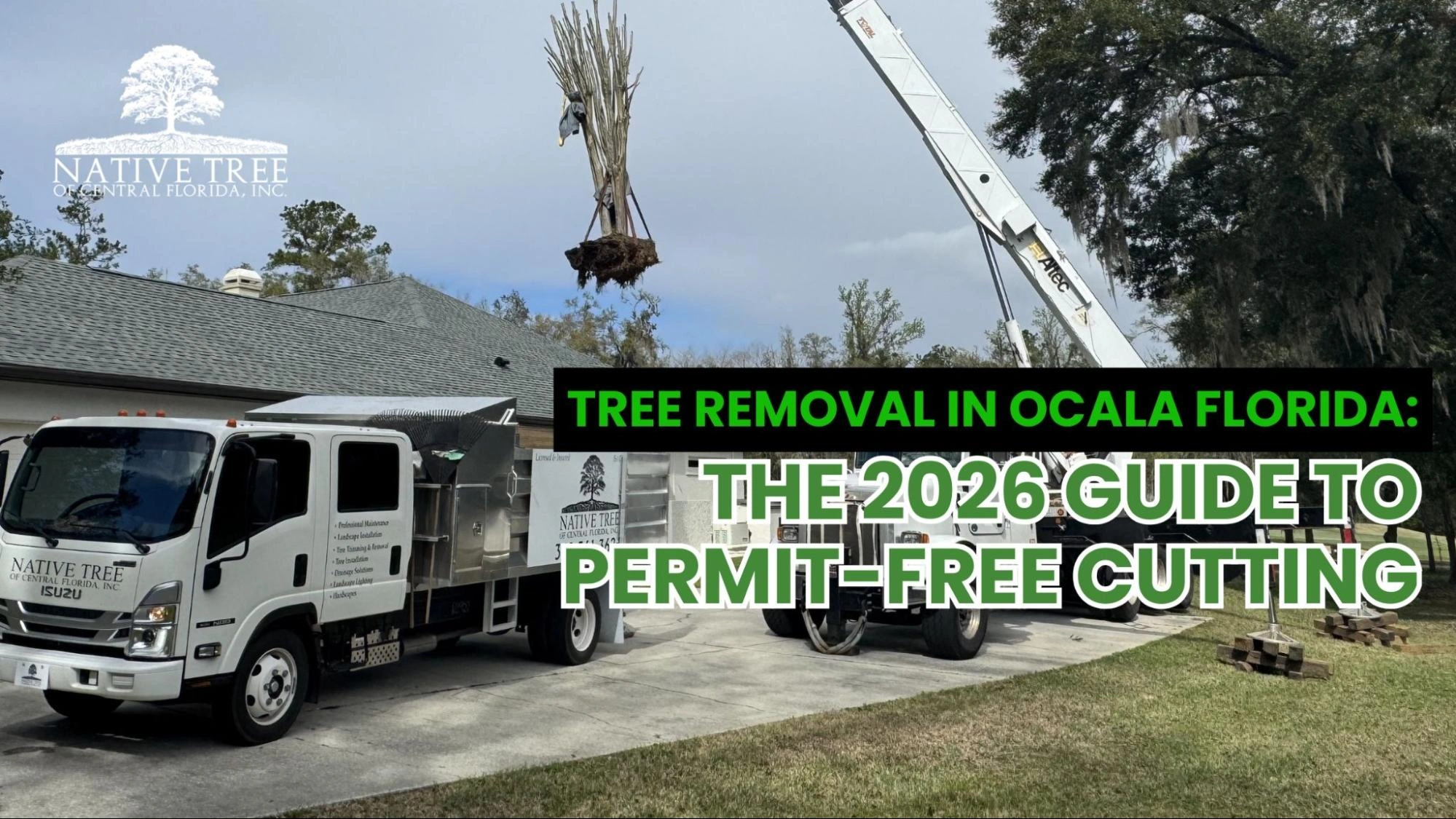 A 2026 guide to tree removal in Ocala, Florida explains when permit-free cutting is allowed, outlines local considerations, and highlights safe, compliant removal practices for homeowners.