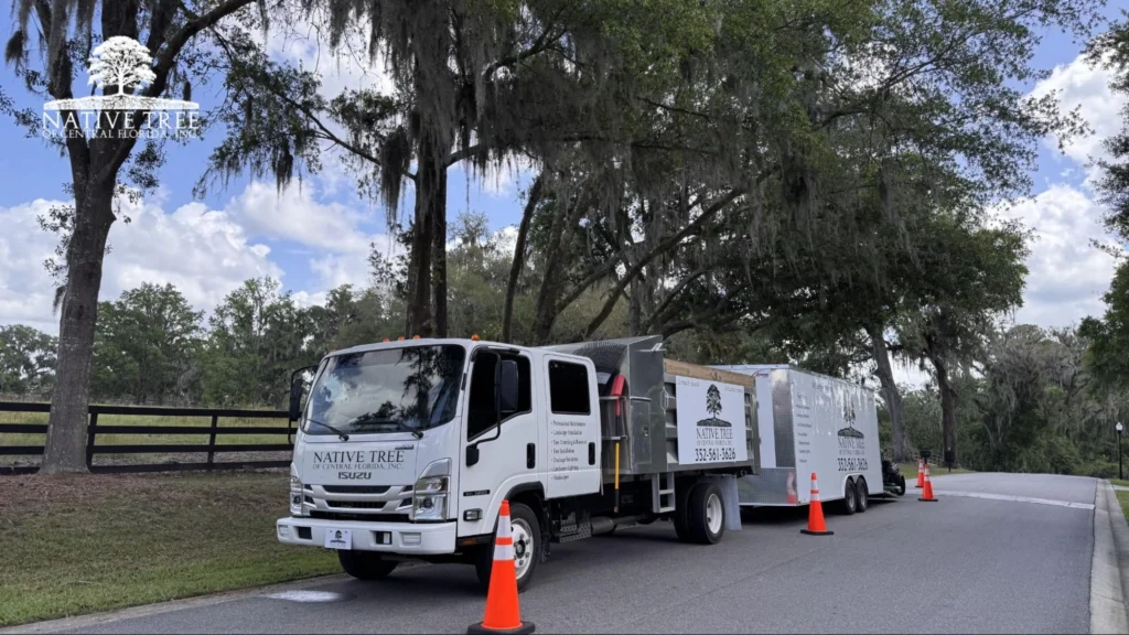 Choosing Native Tree of Central Florida for tree removal ensures experienced service, safe practices, and reliable solutions tailored to local tree conditions and homeowner needs.