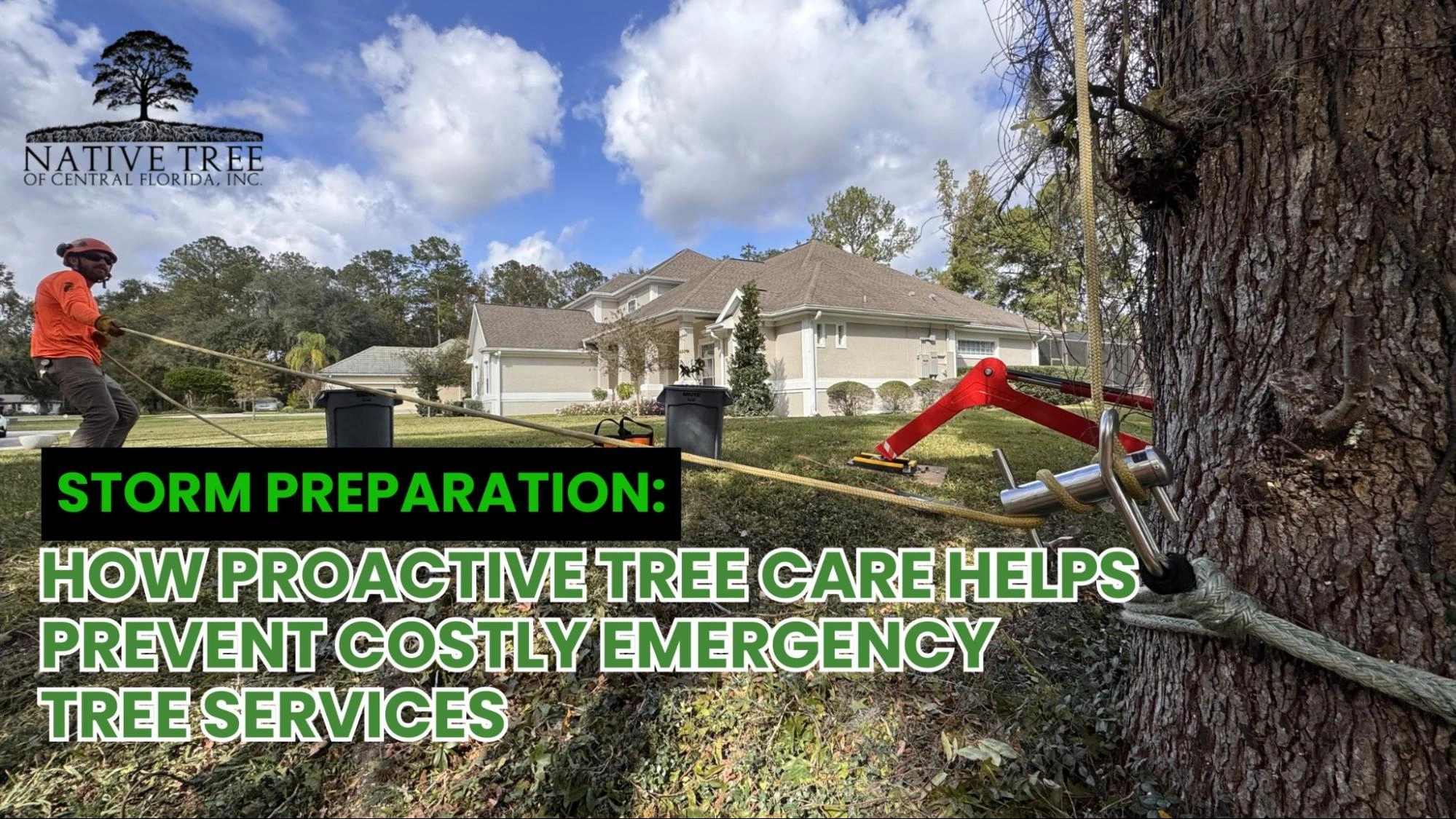 A tree care professional inspects trees, emphasizing proactive maintenance to prevent storm damage and costly emergency services.