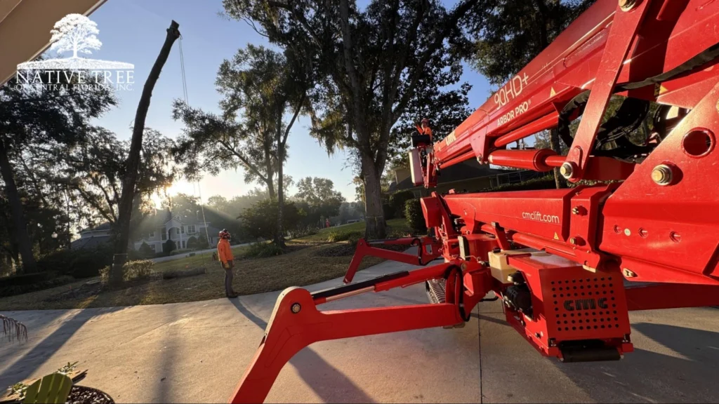 A red crane parked on a driveway, ready for a professional pre-storm tree evaluation.