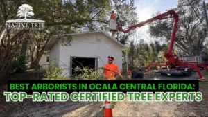 Top-rated arborists in Ocala, Central Florida, showcasing expertise in tree care and maintenance services.