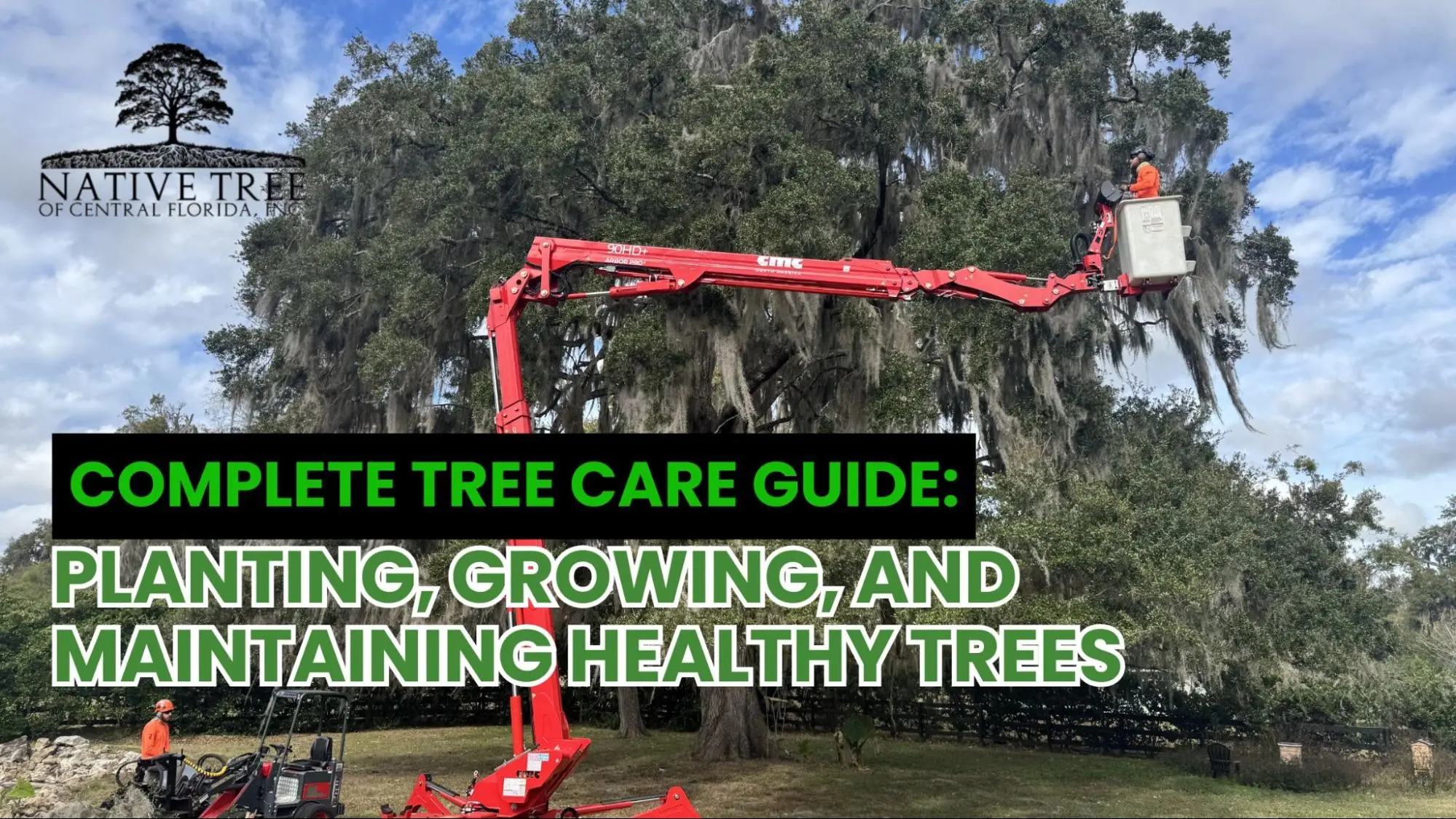 Comprehensive guide on tree care, featuring tips for planting, pruning, and maintaining healthy trees.