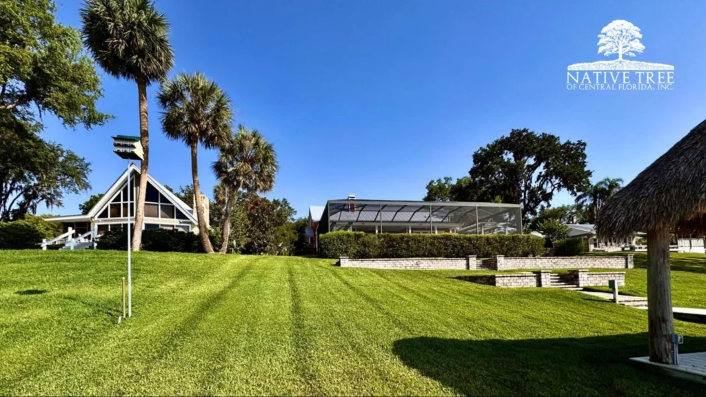Thatched-roof house surrounded by lush palm trees in a tropical landscape.