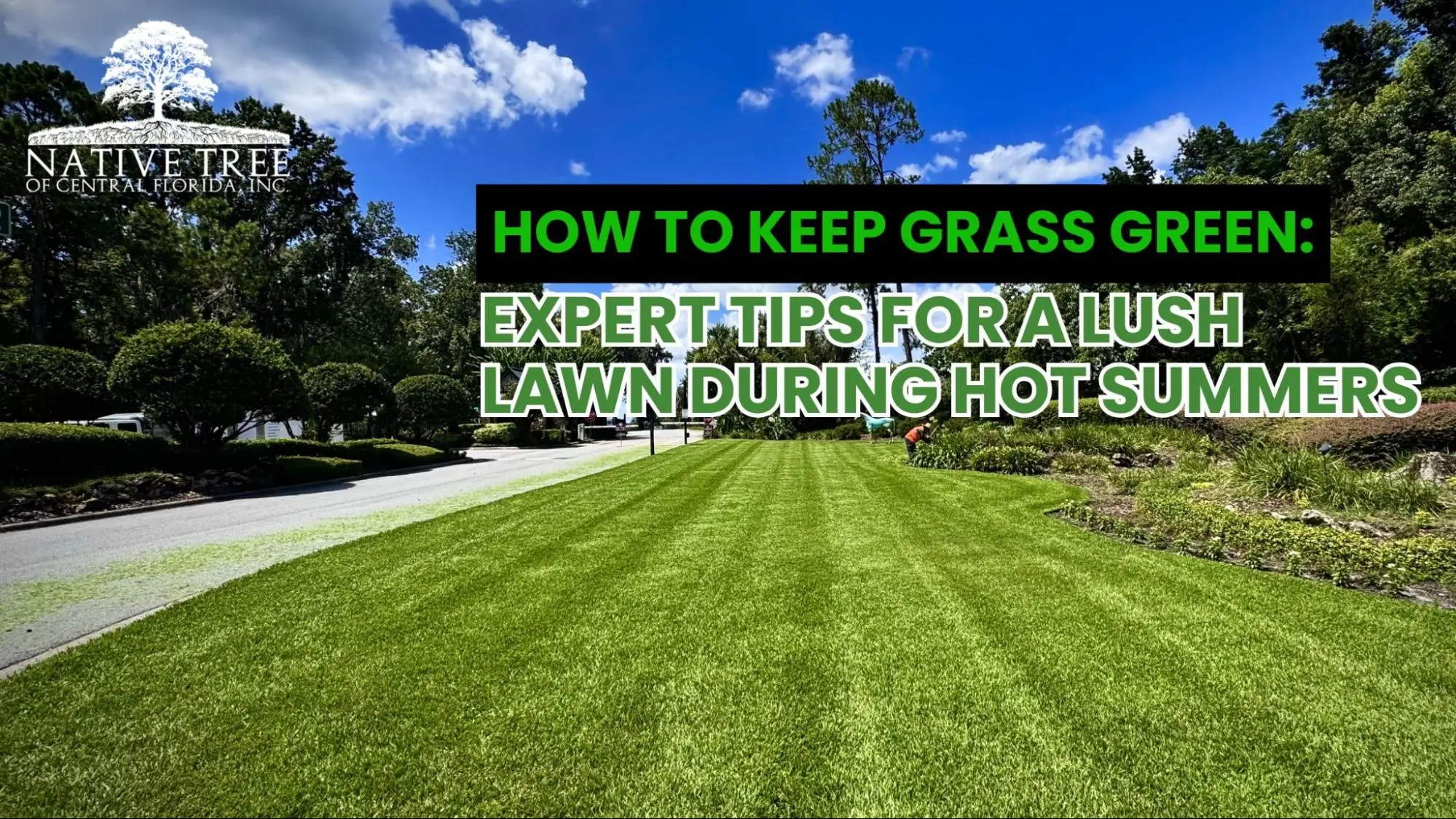 A lush, green lawn under bright summer sun with sprinklers watering the grass, illustrating expert tips on how to maintain healthy, vibrant turf during hot weather conditions.