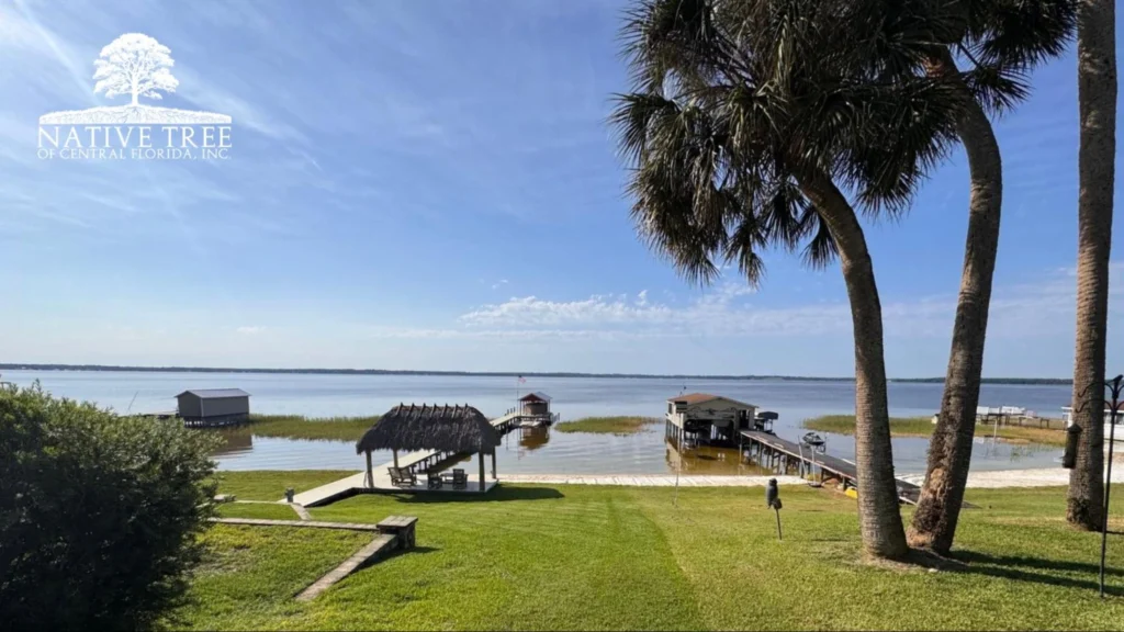 Scenic view of a body of water from a house on the shore, highlighting the importance of location when planting.