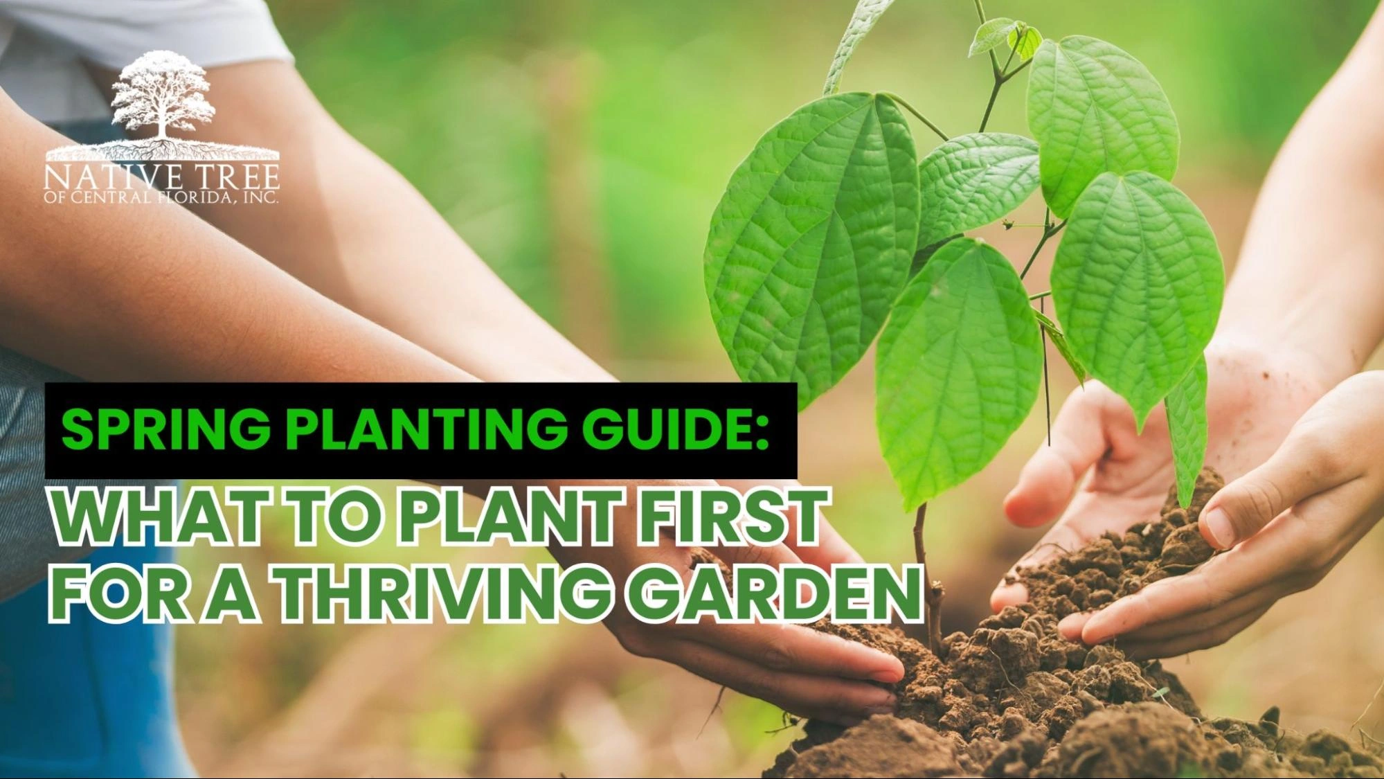 Spring planting guide highlighting initial steps for a successful garden with recommended plants for early growth.