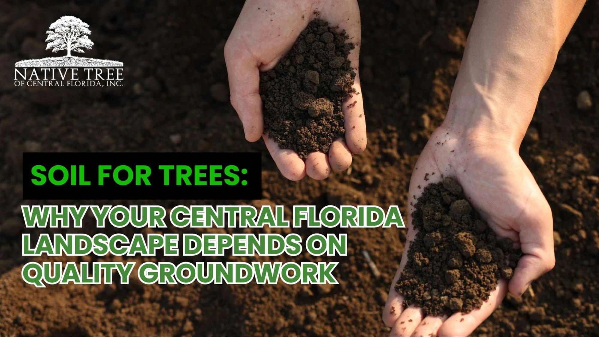 Soil quality is essential for tree health in Central Florida landscapes, ensuring strong growth and sustainability.