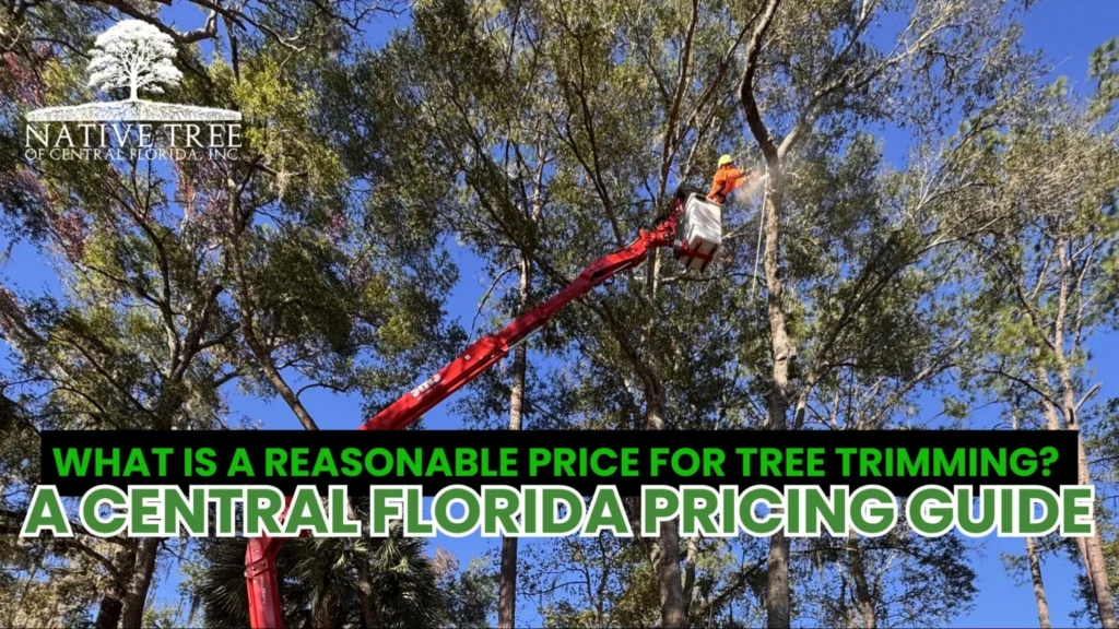Pricing guide for tree trimming services in Central Florida, detailing personal price estimates and factors influencing costs.