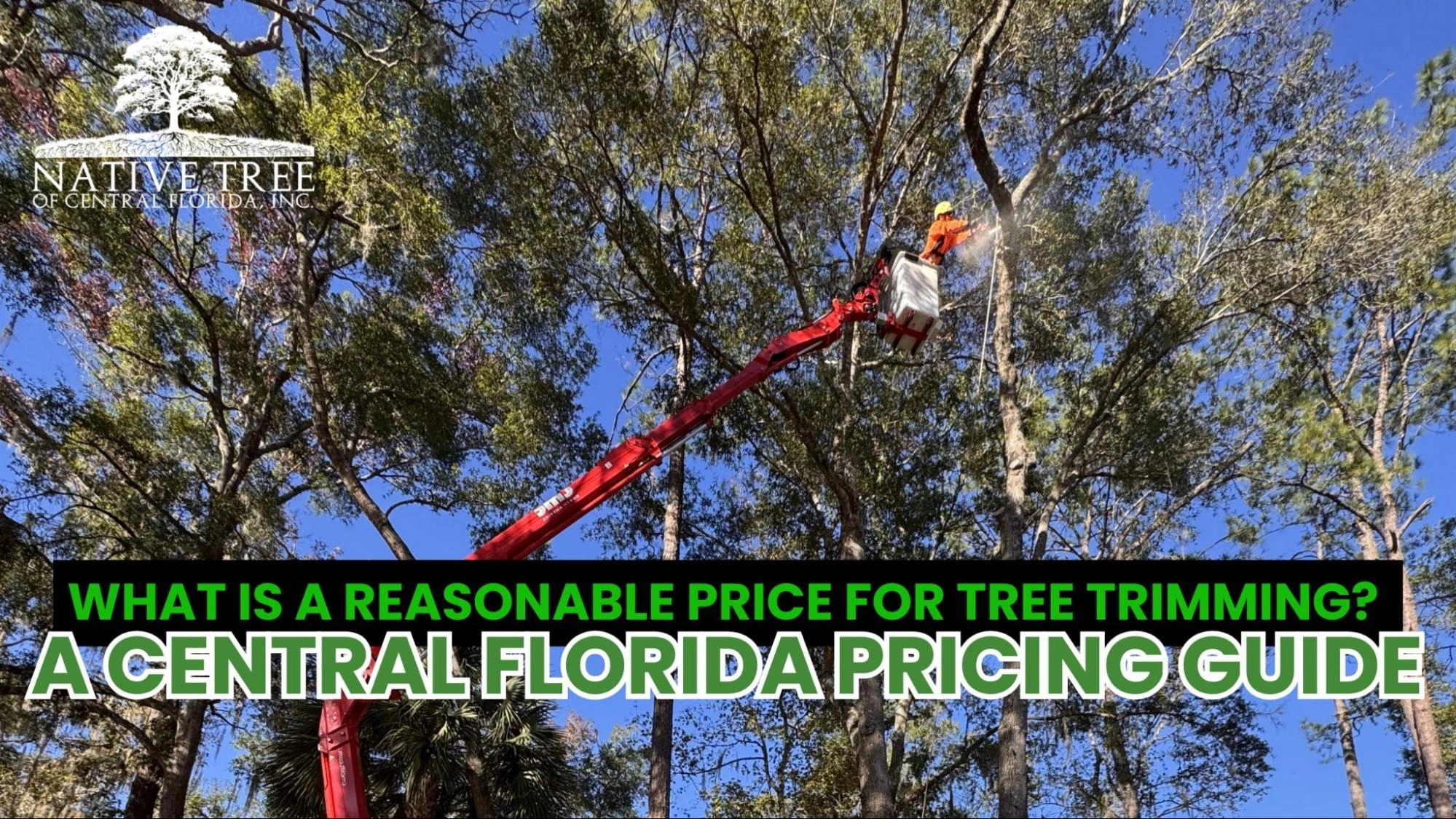Pricing guide for tree trimming services in Central Florida, detailing personal price estimates and factors influencing costs.