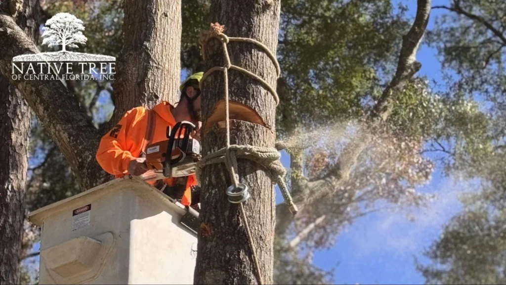 A man in an orange shirt uses a chainsaw to cut down a tree in a residential area, showcasing arborist expertise in action.