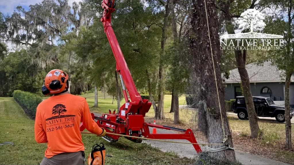 A man in an orange shirt operates a tree trimmer, illustrating the process of tree service work.