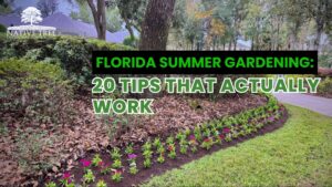 Florida summer gardening tips featuring effective strategies for thriving plants in hot weather.
