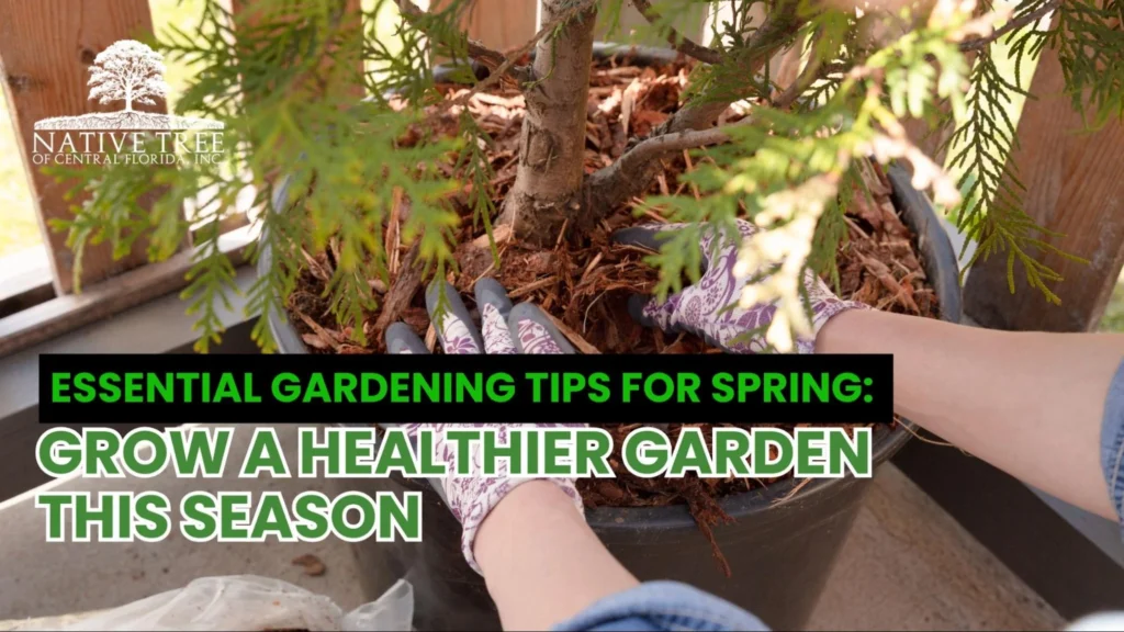 A graphic featuring essential gardening tips for spring, including planting schedules and soil preparation advice.