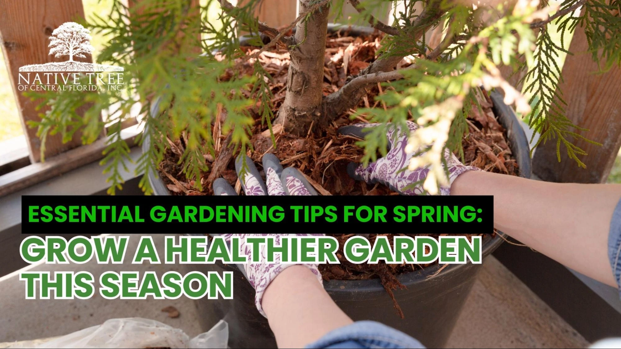 A graphic featuring essential gardening tips for spring, including planting schedules and soil preparation advice.