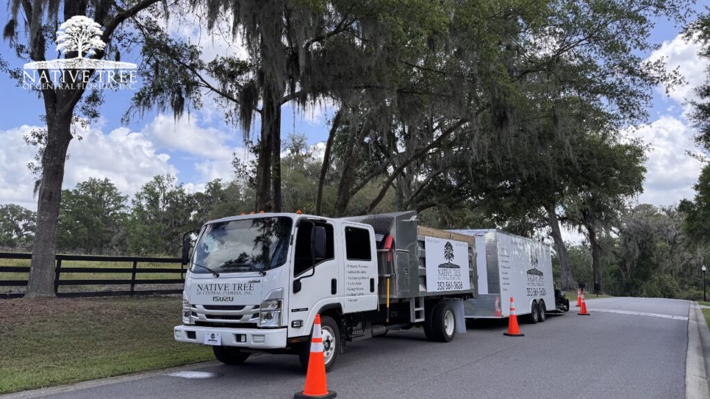 A truck parked on the roadside, surrounded by grass and trees under a clear blue sky.