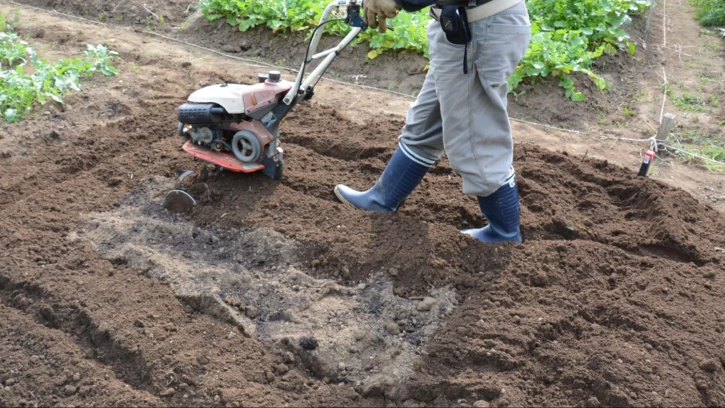 A person operates a garden tractor to till the soil in a garden, preparing it for planting.