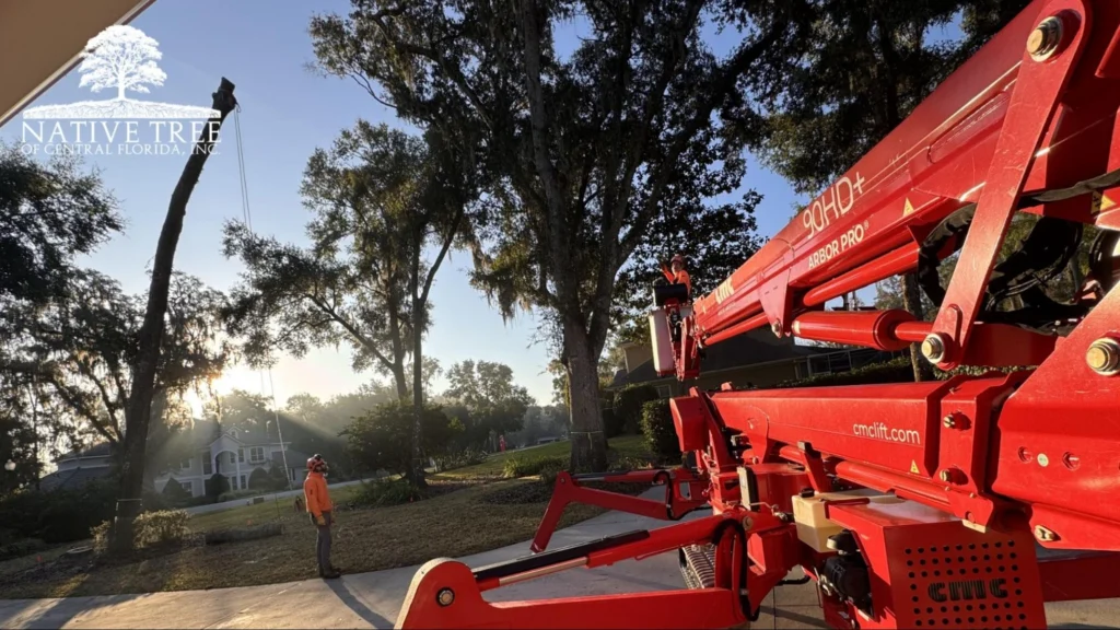 A red crane parked on a driveway, highlighting the importance of professional equipment in construction projects.