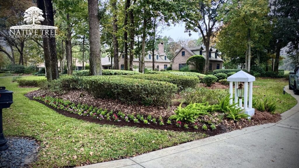 A beautifully landscaped yard featuring vibrant shrubs and colorful flowers in full bloom.