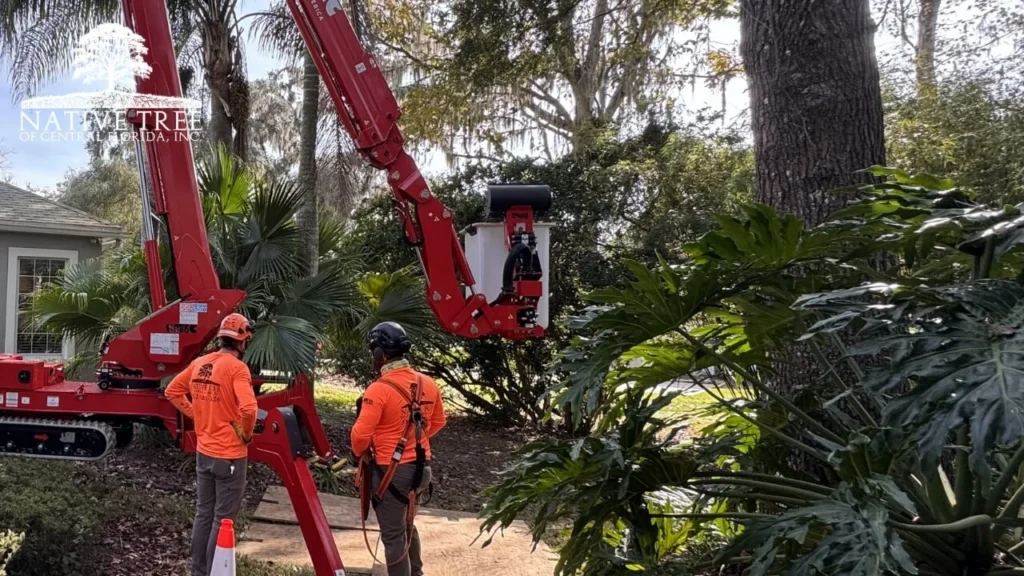 Two men in orange vests are trimming branches from a tree in a residential area.