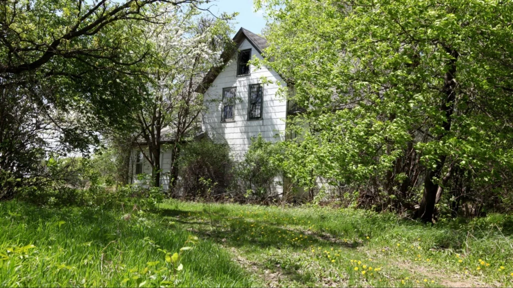 A house, surrounded by overgrown shrubs, showing signs of major restoration needs.